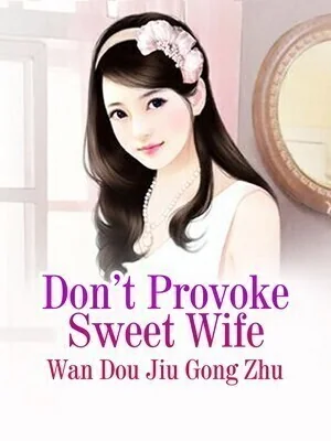 Don't Provoke Sweet Wife cover