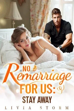No Remarriage for us Stay Away by Livia Storm cover