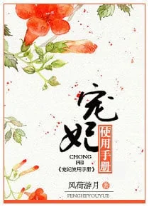 Chongfei Manual cover