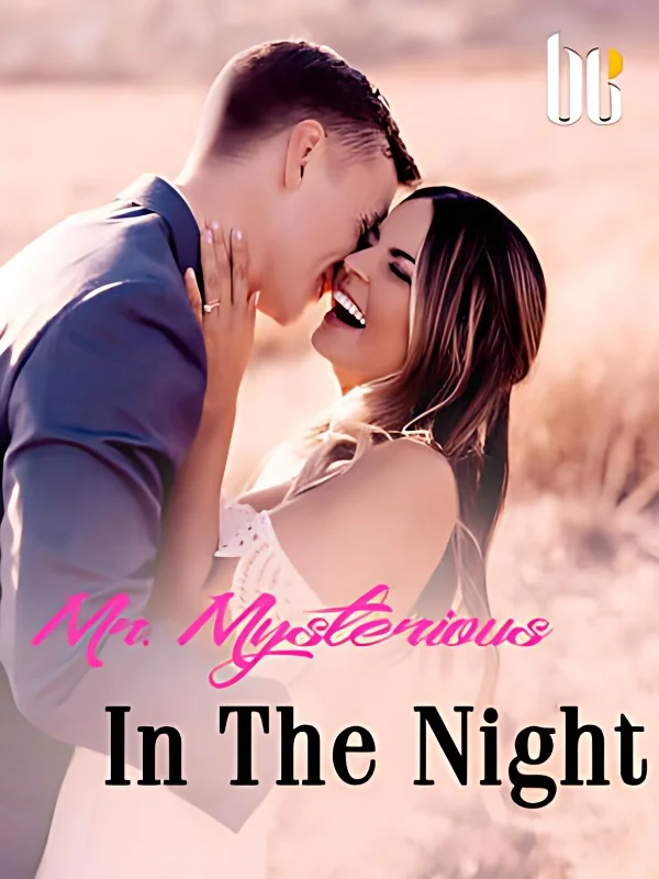 Mr. Mysterious In The Night cover