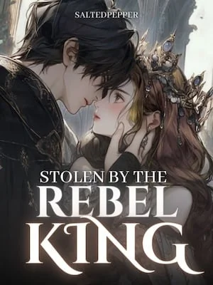 Stolen by the Rebel King cover