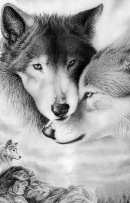 Rejected with the Alphas Baby cover