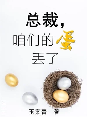 President, Our Egg Is Lost cover
