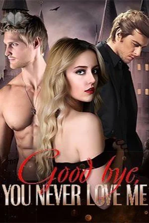 Goodbye You Never Loved Me novel (Martha and Stefan) cover
