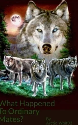 What Happened To Ordinary Mates? #1 cover