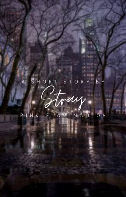 Stray | ✓ cover