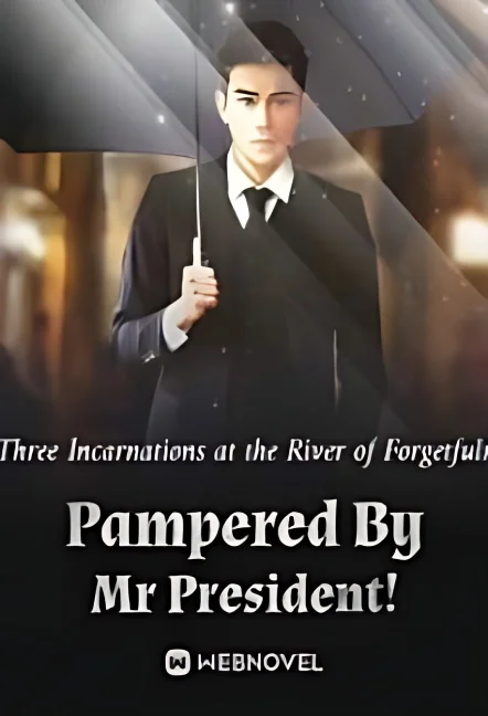 Pampered By Mr President! cover