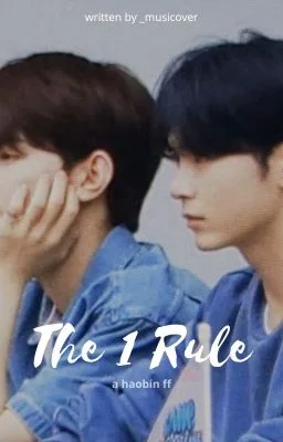 The 1 Rule - haobin cover