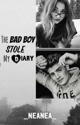 The Bad Boy Stole My Diary cover