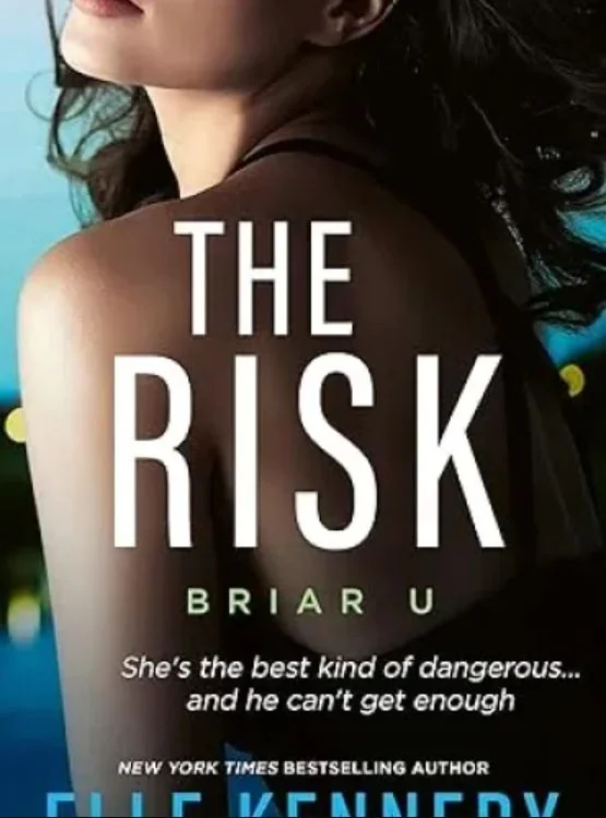 The Risk (Briar U) cover