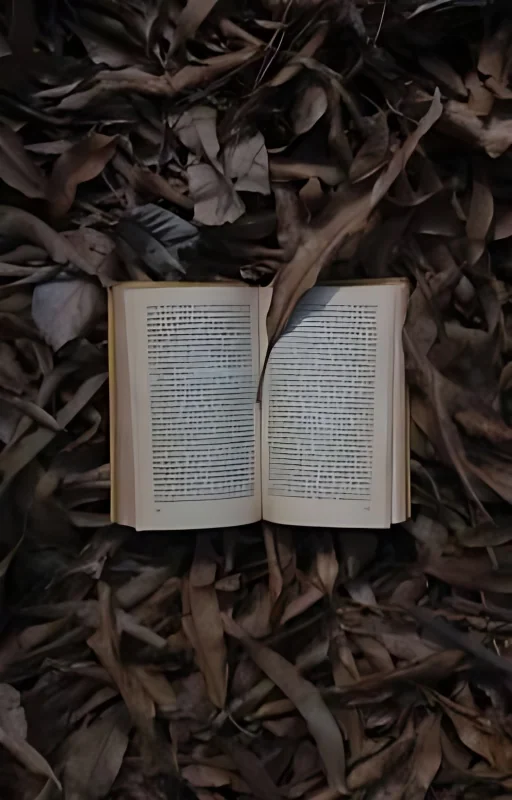 BEST INDIAN BOOKS cover