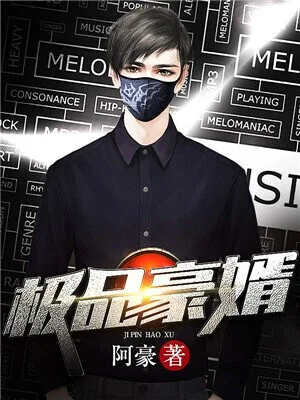 The Millionaire Son in Law cover