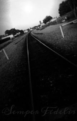 Forever In Love cover