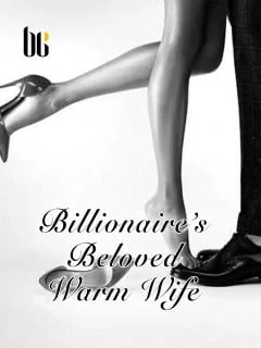 Billionaire's Beloved Warm Wife cover