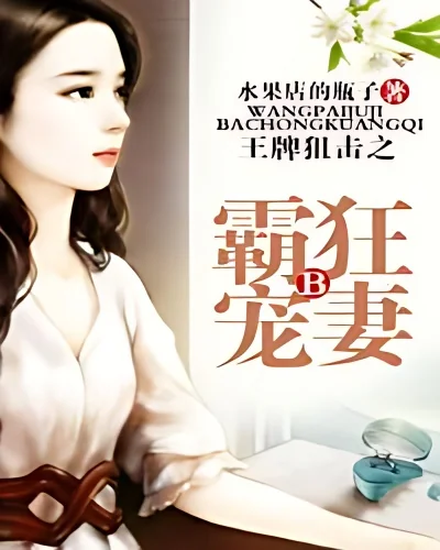 Ace Sniper Wife cover