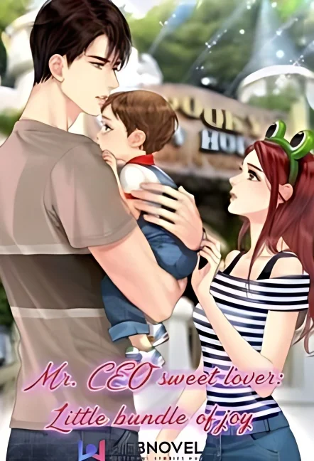 Mr. CEO sweet lover: Little bundle of joy cover