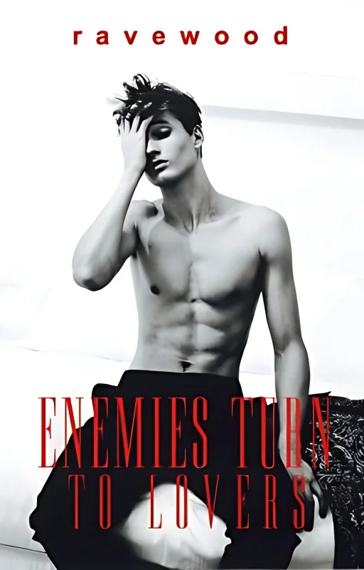 Enemies Turn to Lovers cover