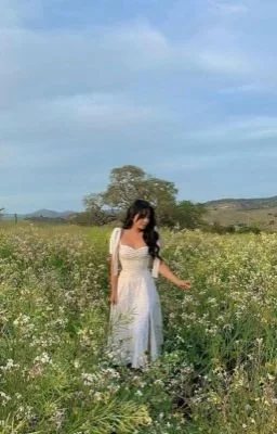 Thorns and petals cover