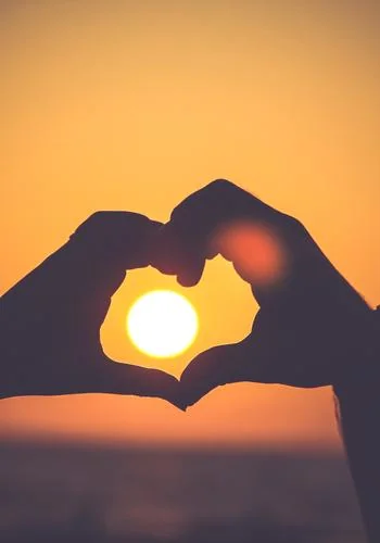 Alpha's Human Luna cover