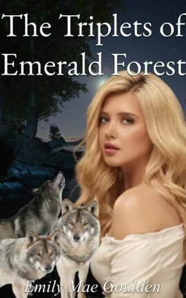 #12 The Triplets of Emerald Forest cover