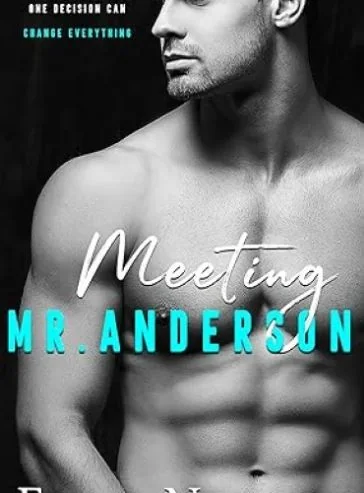 Meeting Mr Anderson (The Men Series Book 1) cover