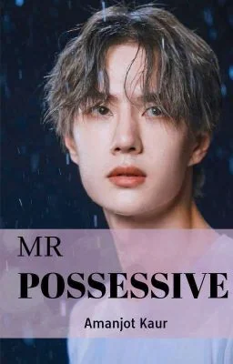 Mr Possessive ✅ cover