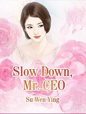 Slow Down, Mr. CEO cover