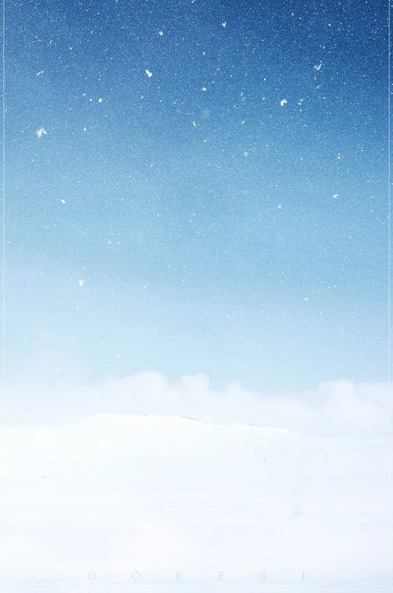 The Alphas prize cover