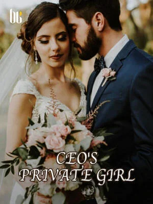 CEO's Private Girl cover