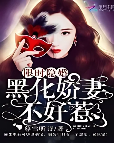 Limited Time Hidden Marriage cover