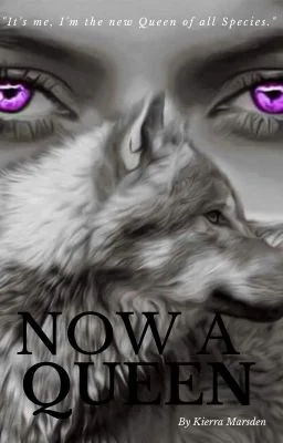 Now A Queen cover