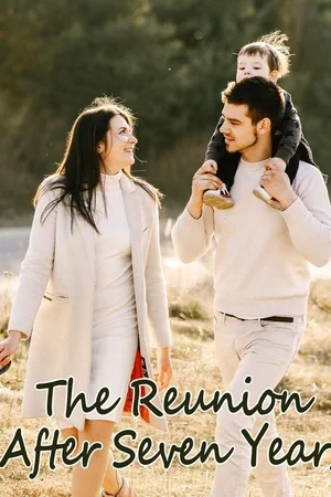 The Reunion After Seven Years cover