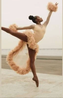 The Mafia's Ballerinas cover