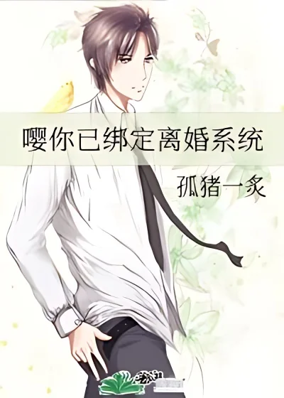 Bound To The Divorce System cover