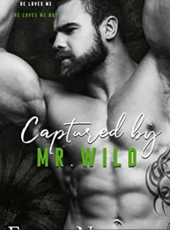 Captured by Mr. Wild (The Men Series – Interconnected Standalone Romances Book 4) cover