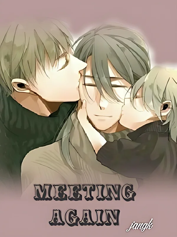 Meeting again cover
