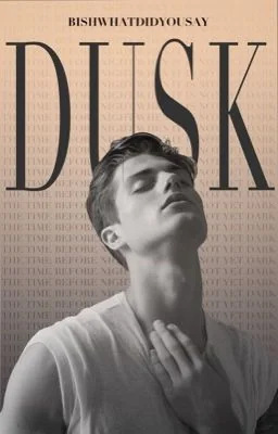 D U S K  ✔ cover