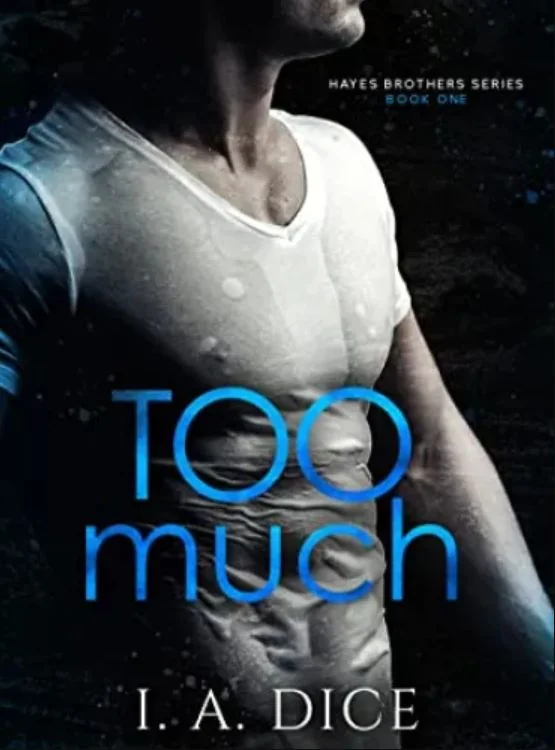 Too Much : Hayes Brothers Book 1 cover