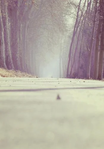 His'(Crazy Erotica) cover