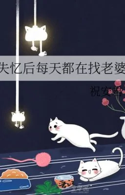 After losing my memory, I'm looking for my wife every day cover