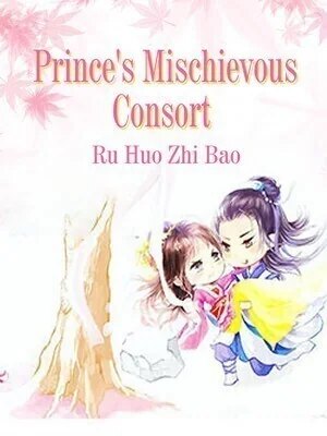 Prince's Mischievous Consort cover