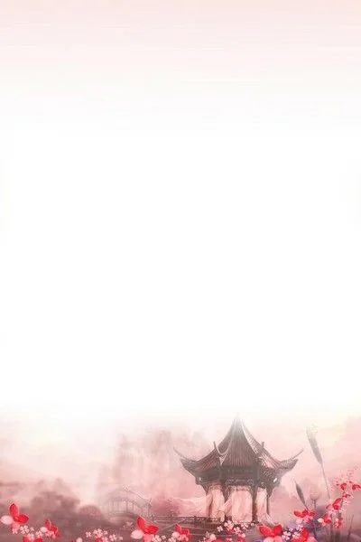 Through the Screen cover