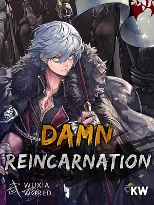 Damn Reincarnation cover