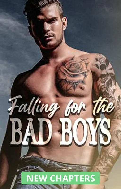 Falling For The Bad Boys cover