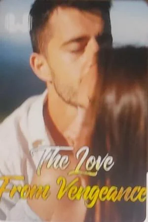 The Love From Vengeance cover