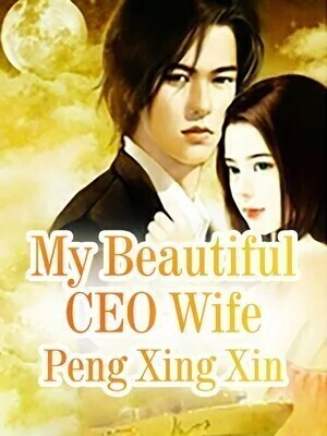 My Beautiful CEO Wife cover