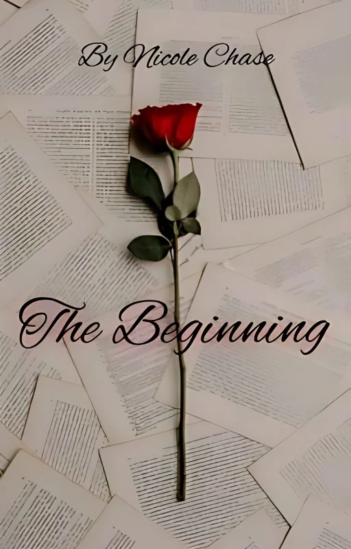 THE BEGINNING... cover