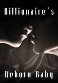 Billionaire's Reborn Baby cover