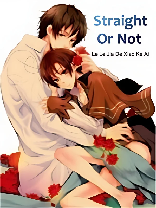 Straight Or Not cover
