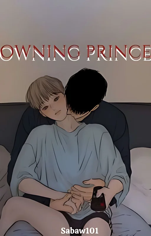 Owning Prince cover